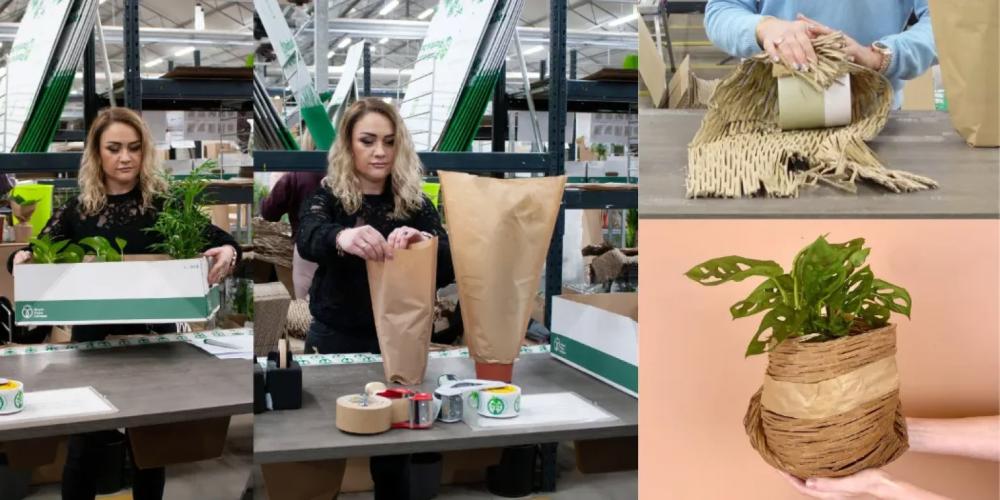 planten inpakken