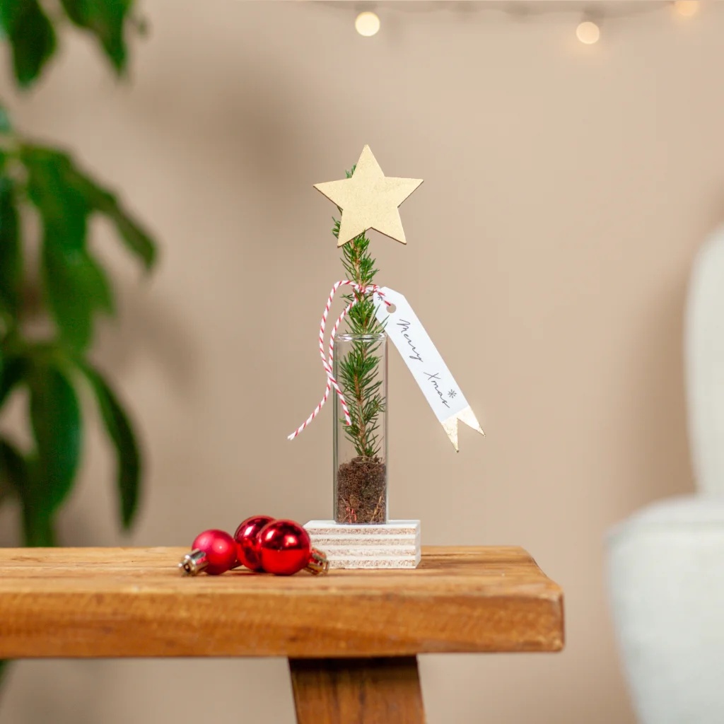 Kerstboomstek &apos;Jingle&apos;