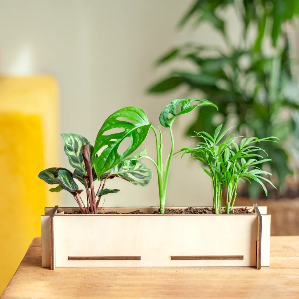 Indoor tuintje (DIY)
