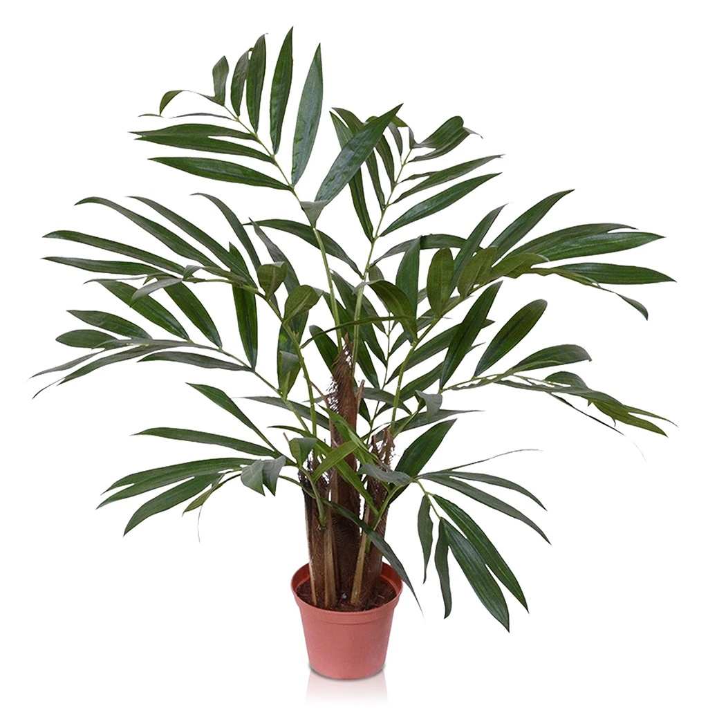 Chamaedorea Kunstpalm 65 cm - Kunstplant