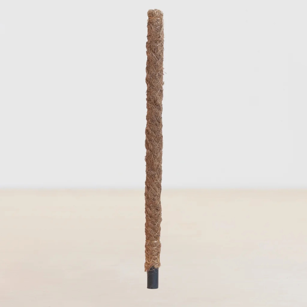 Mosstok - 80cm