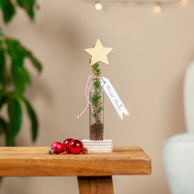 Kerstboomstek