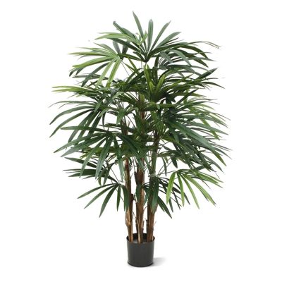 184010-Raphis-Deluxe-100cm-1