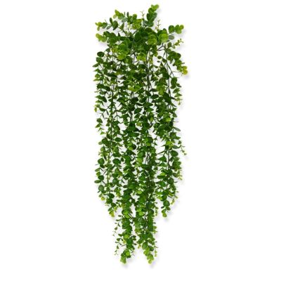 202702 eucalyptus hanger pl 70-1