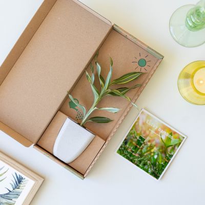 Lucky-Bamboo-letterbox-top-scaled