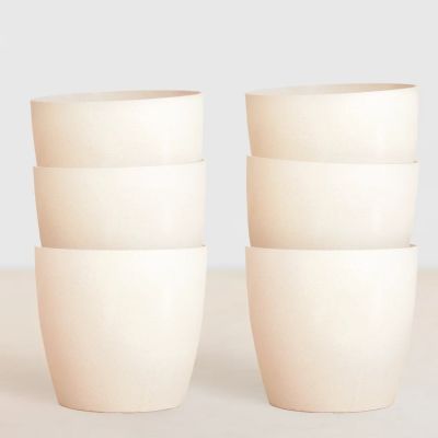 Oslo-wit-p12-potten-6x-1024