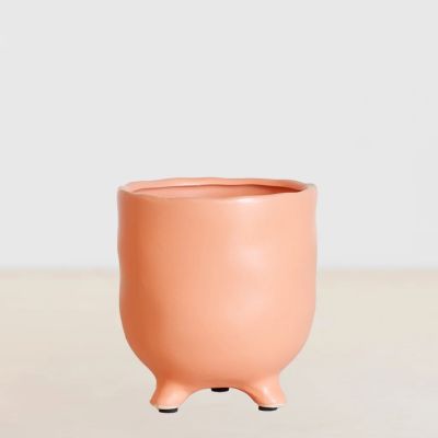 P12-Athene-licht-roze