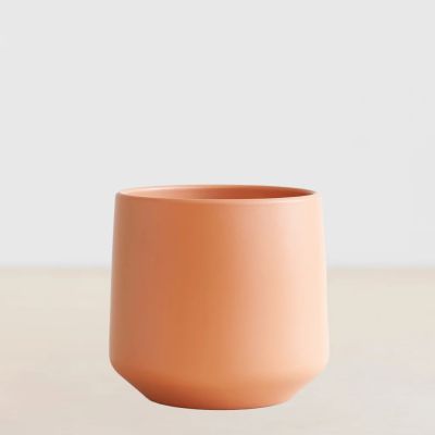 P12-Boedapest-oranje