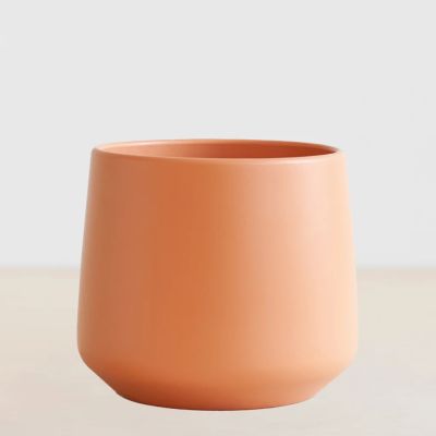 P17-Boedapest-oranje