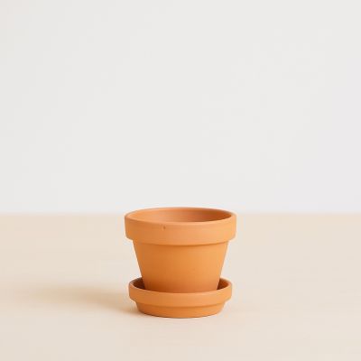 terrracotta pot voor kleine plantjes
