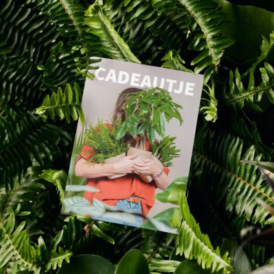 cadeaubon planten
