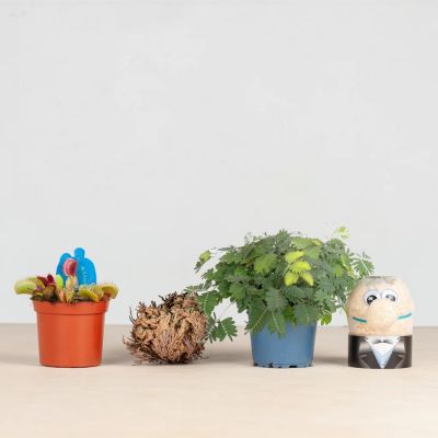 Groene-ontdekkingsbox-funbox-1024