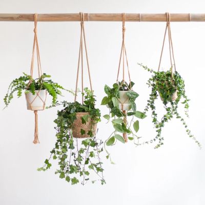 Hangplanten-box-4-stuks