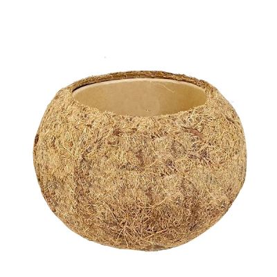 Kokodama pot