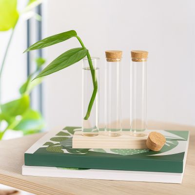 Stek-set-glazen-vaasjes-voor-stekjes-hydroponie-glazen-buisjes-met-houten-blokjes-HR-4