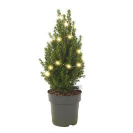 Verlichte