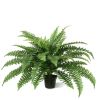 Boston Varen Deluxe 65 cm - Kunstplant