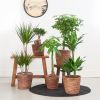 Stam Plantenbox