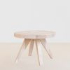 Plantentafel Brugge - S