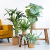 Groen Interieur Plantenbox (4 stuks)