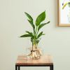 Strelitzia in Modena Vaas - DIY