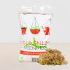 Sphagnum mos levend
