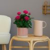 Potroos Roze - P12