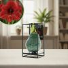 Amaryllis industrieel groen