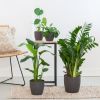 Musthave Plantenbox - 4 stuks