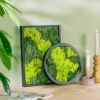 mosschilderij duo