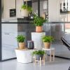 Voordeelbox 6 planten