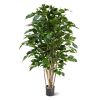 112312-Ficus-Exotica-Deluxe-125-cm-groen-1