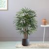 184010-Raphis-Palm-in-pot-Budapest-21cm-antraciet