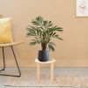 184406-Chamaedorea-Palm-in-pot-Budapest-17cm-antraciet
