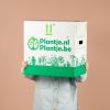 Halve Groene Kneusjesbox incl. bio sierpotten (6 stuks)