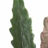 Alocasia Lauterbachiana blad