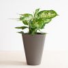 Aqua-pot-bruin-5-1024-1