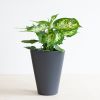 Aqua-pot-zwart-3-1024-1