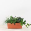 Balkon-planten-box-rood-1-1024