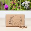brievenbuspakket bloemen voor bijen