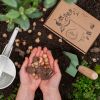 Biologische-bollen-brievenbuspakket-huiberts-plantje-1024-2 1