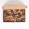 Biologische-bollen-brievenbuspakket-huiberts-plantje-1024-6 1