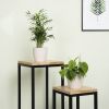 CS e-Flora-410v2-scaled