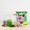 Diy terrarium Kit