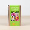 Dahlia-biologische-knollen-postpakket-huiberts-plantje-1024-3 1
