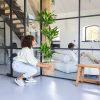 Dracaena-Janet-Lind-p27-6-scaled