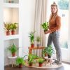 kneusjesbox 10 planten