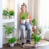 kneusjesbox met potten