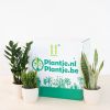 Groene Studentenbox (3 stuks)
