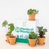 Groene Kantoorbox (5 stuks)